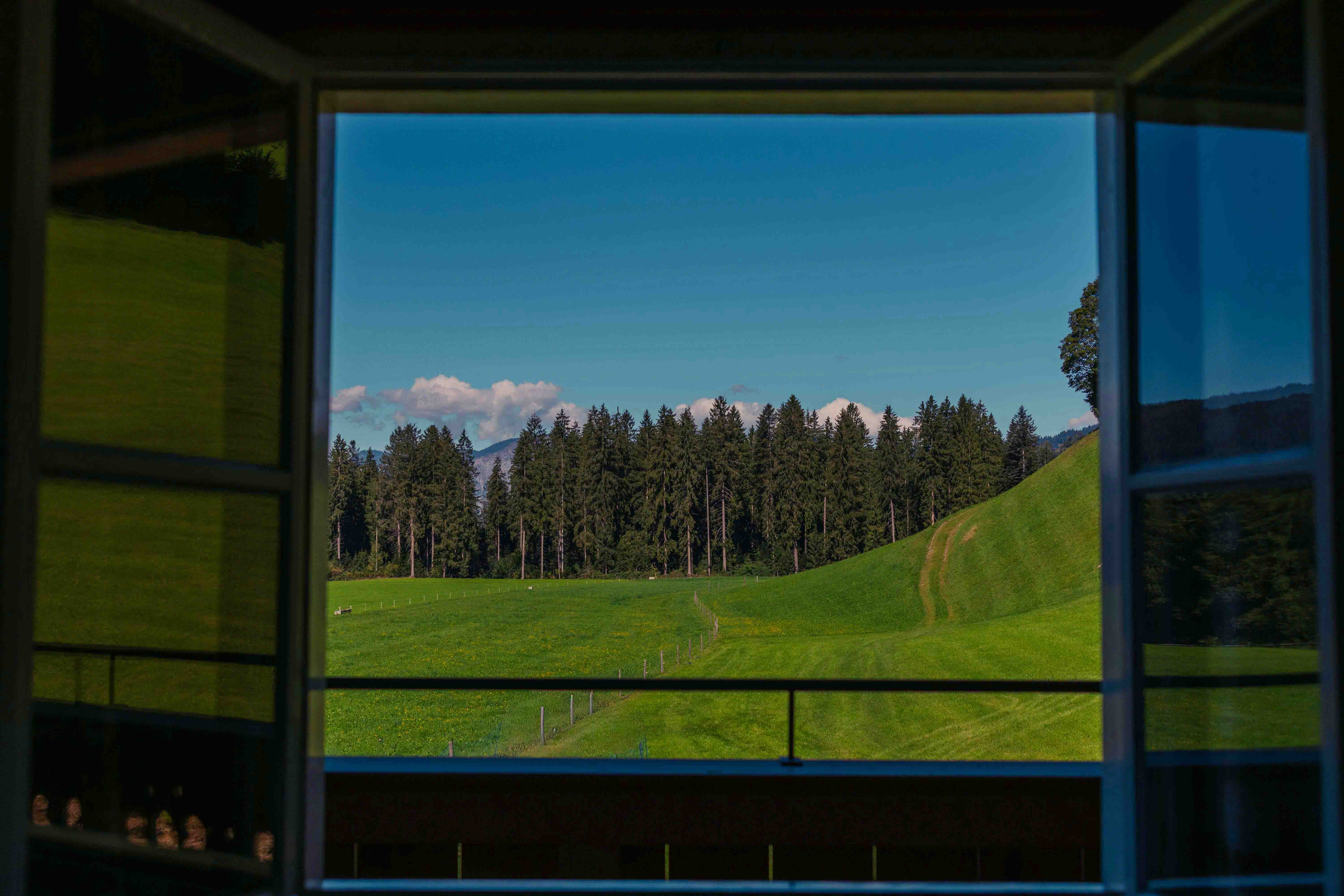 Zimmer 'Waldblick'